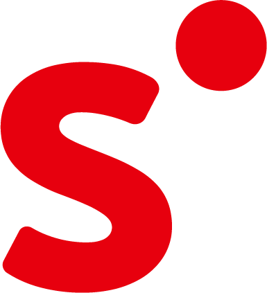 schleunung logo